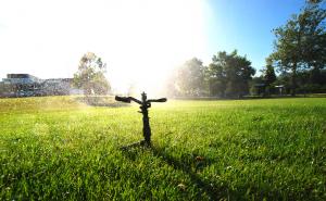 a temporary rotor head installed by our Gaithersburg Sprinkler Repair team